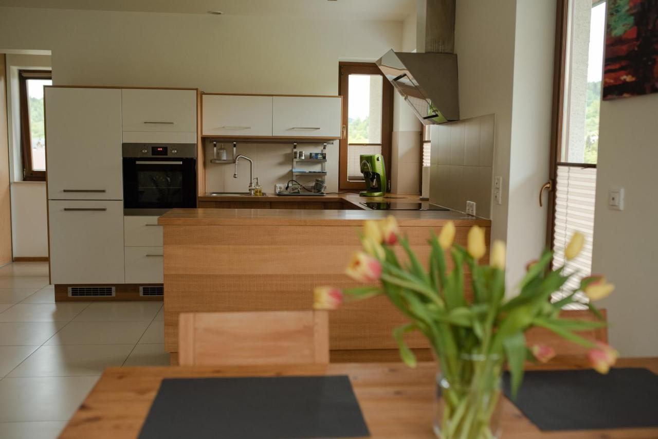 Apartament Sloneczna Rapsodia - Blisko Parku Zdrojowego - Piekny Widok - Ogrod - Taras Rabka-Zdrój Eksteriør billede